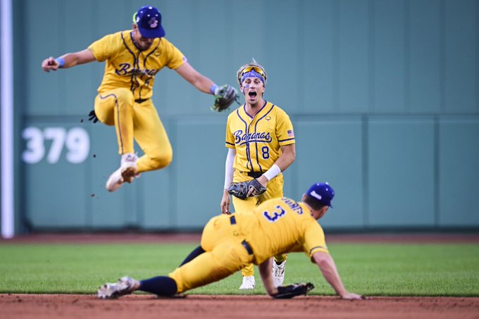 Illustrative photo for: Banana Ball long-term growth: Experts assess future