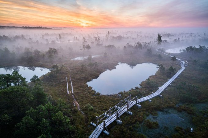 Illustrative photo for: Latvia Bogs Shield Enhances Defense and Cuts Carbon