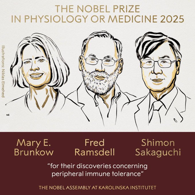 Illustrative photo for: 2025 Nobel Prize in Physiology or Medicine Awarded for