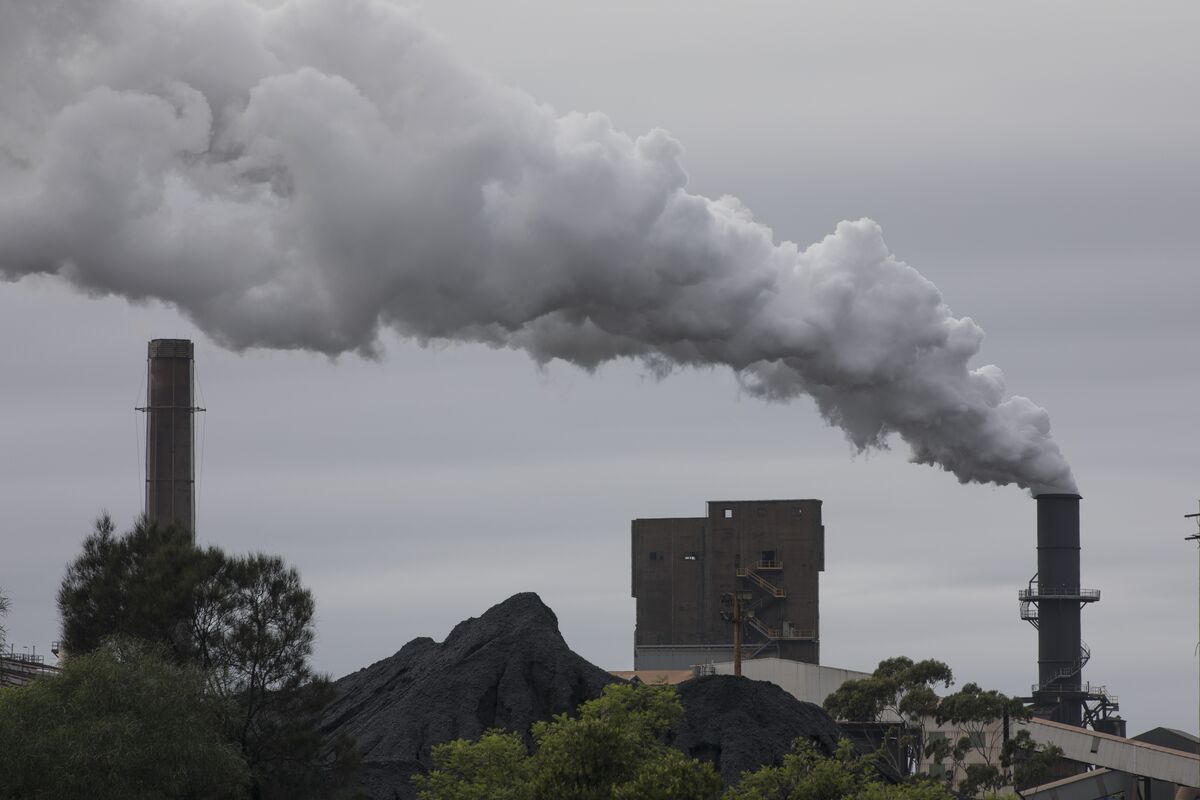 Illustrative photo for: Australia net zero targets: Opposition Steps Up Campaign to