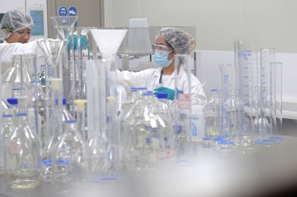 Illustrative photo for: CSL stock decline Deepens as Shares Hit Seven-Year Low