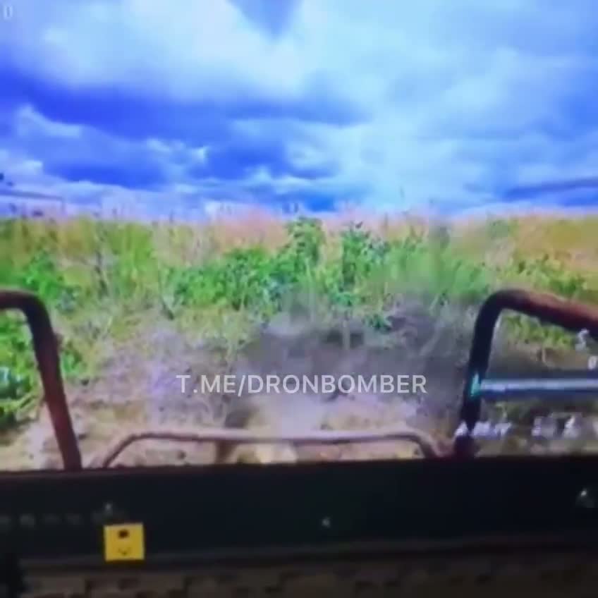 Illustrative photo for: Cat Discovers Ukrainian Drone Ambush Discovery in Russian