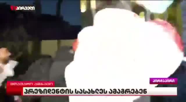 Illustrative photo for: Pro EU Protesters Georgia Storm Gates of Presidential Palace