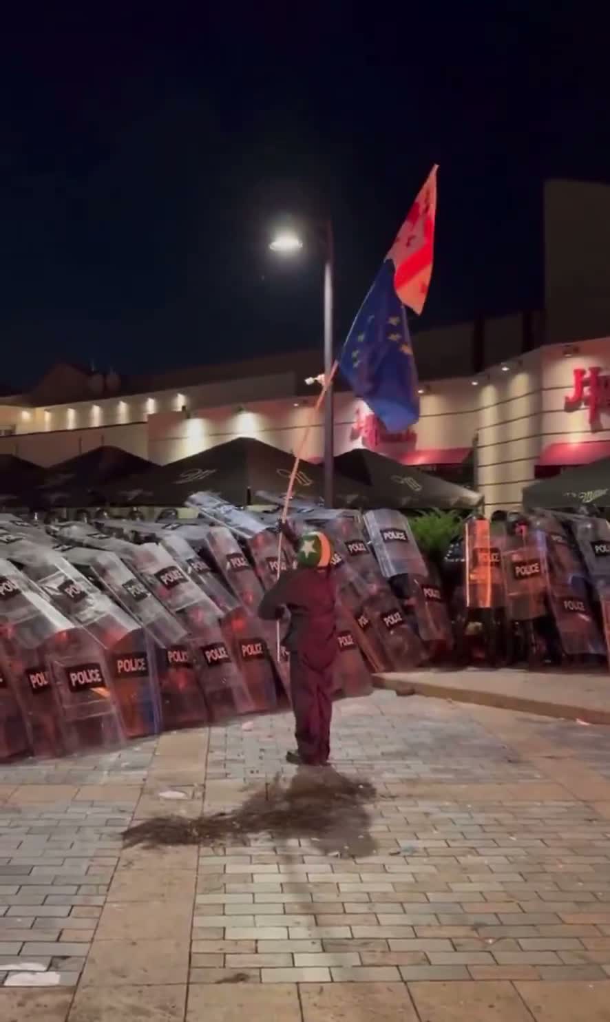 Illustrative photo for: Georgia pro EU protest: Protester confronts riot police in