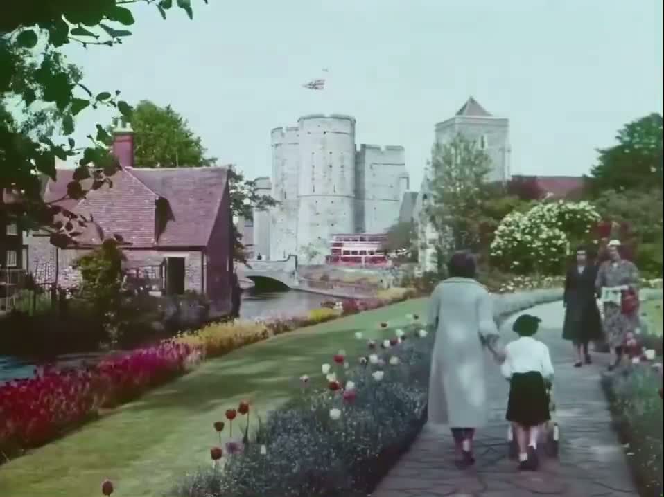Illustrative photo for: Canterbury Summer 1950s: A Classic English Season