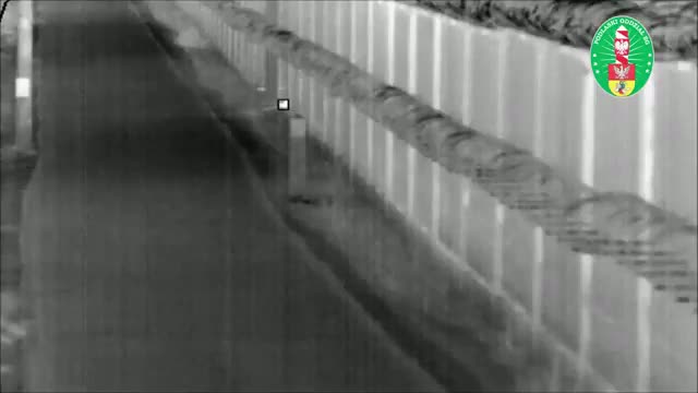 Illustrative photo for: Over 200 Illegal Border Crossings Europe Attempted in a