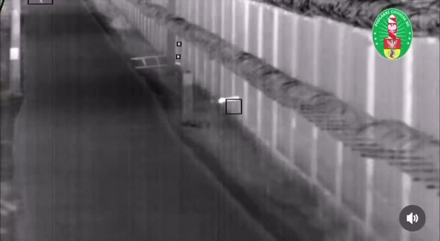 Illustrative photo for: Poland Belarus border migrants: Border guards repel 170