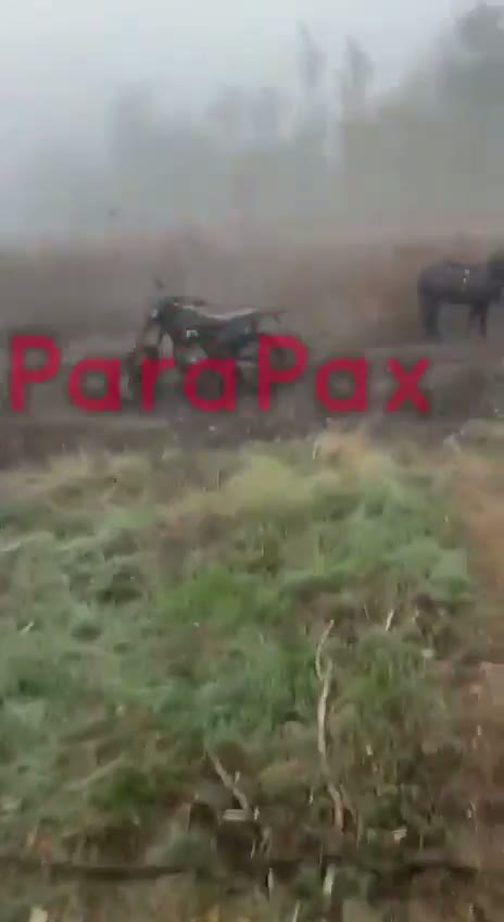 Illustrative photo for: Russian Troop Animal Mistreatment: Use of "Combat Donkey"