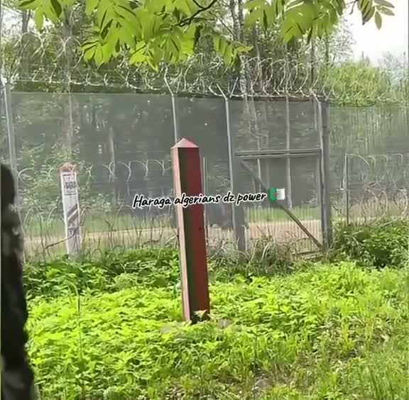 Illustrative photo for: Latvian Border Guards Deport Algerian Illegal Migrants from