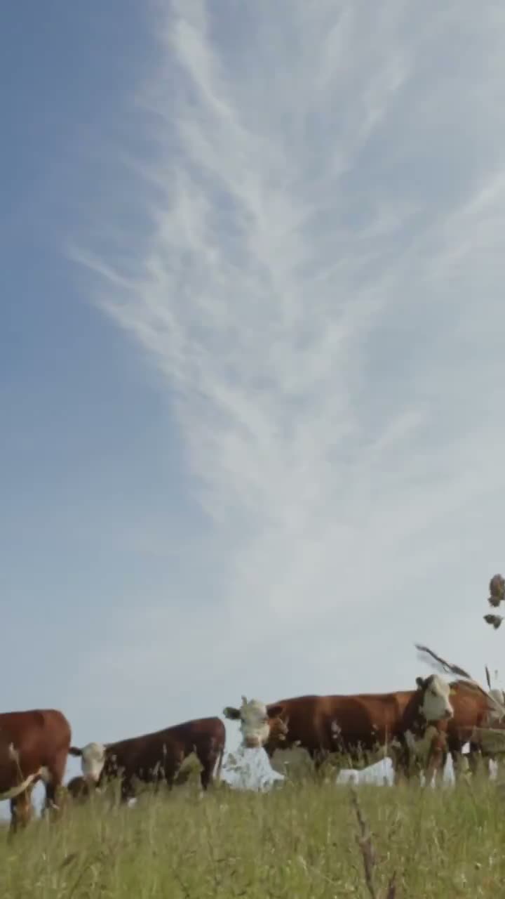 Illustrative photo for: Optimists Protecting the Planet: Nikolaj Coster-Waldau &