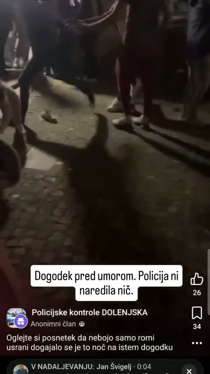 Illustrative photo for: Slovenia justice interior resignation after Roma beating