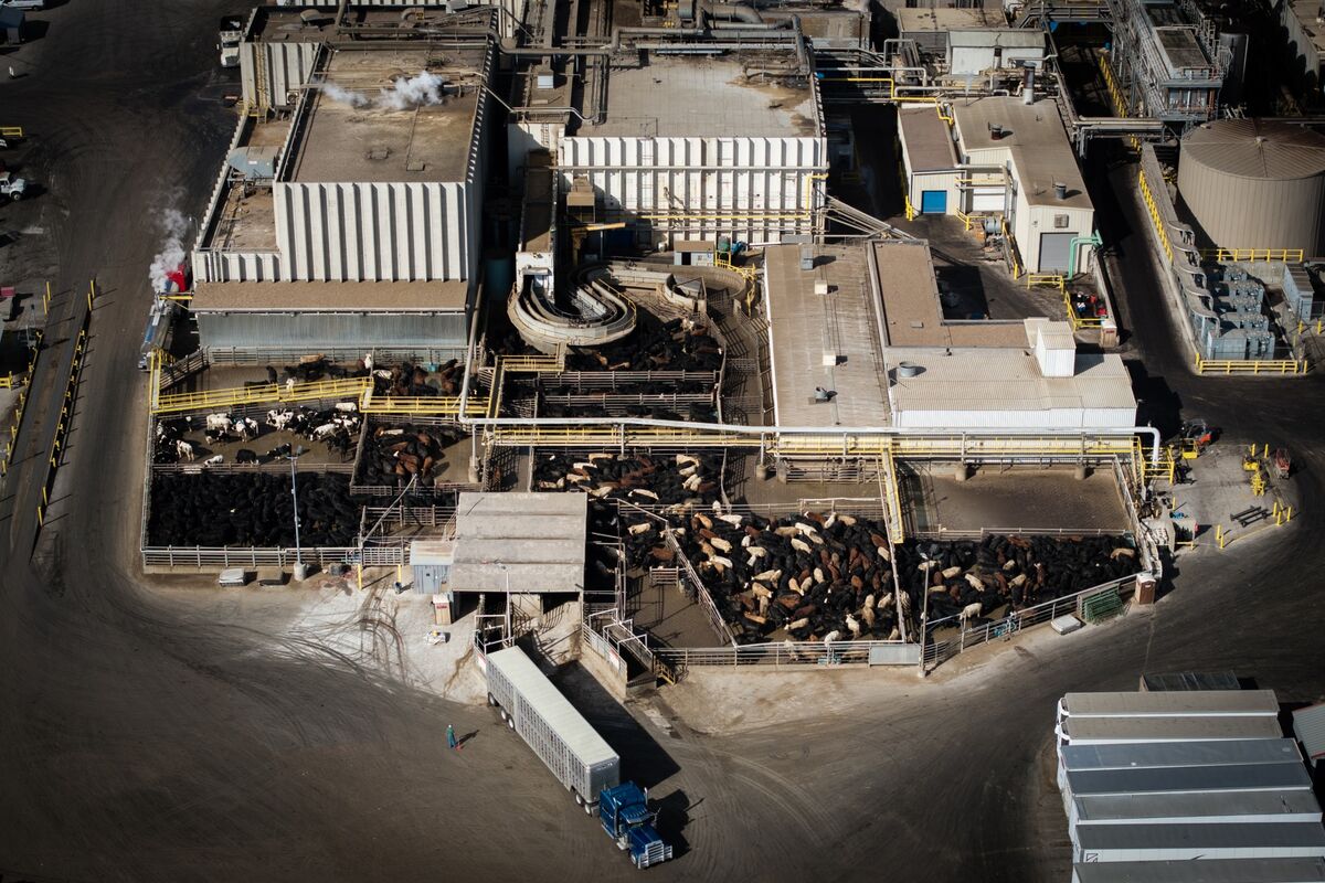 Illustrative photo for: JBS Environmental Settlement: $1.1 Million to Resolve NY