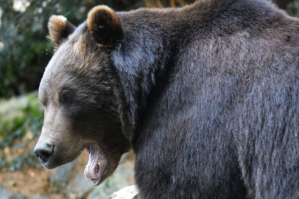 Illustrative photo for: Bitcoin Price Decline: Drops Below $100,000, Falling 6.5%