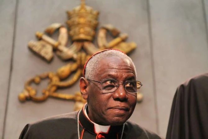 Illustrative photo for: Cardinal Robert Sarah warning: Threats from within likened