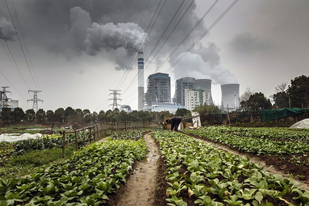 Illustrative photo for: China climate emissions targets: Experts warn of surpassing