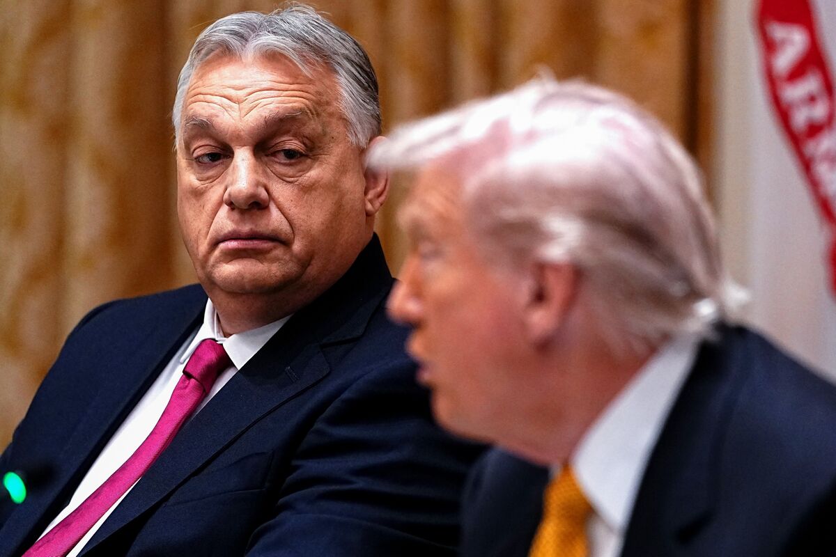 Illustrative photo for: Orban Trump Economic Support: Viktor Orban Claims Pledged