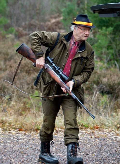Illustrative photo for: Swedish King Carl Gustaf Criticizes Calls for Swedish King