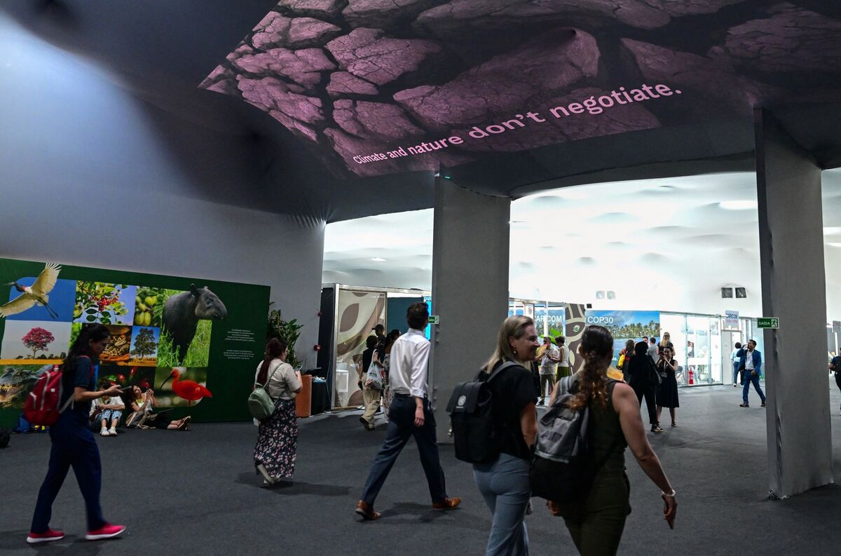 Illustrative photo for: Countries Warn of Critical Minerals Environmental Risks in