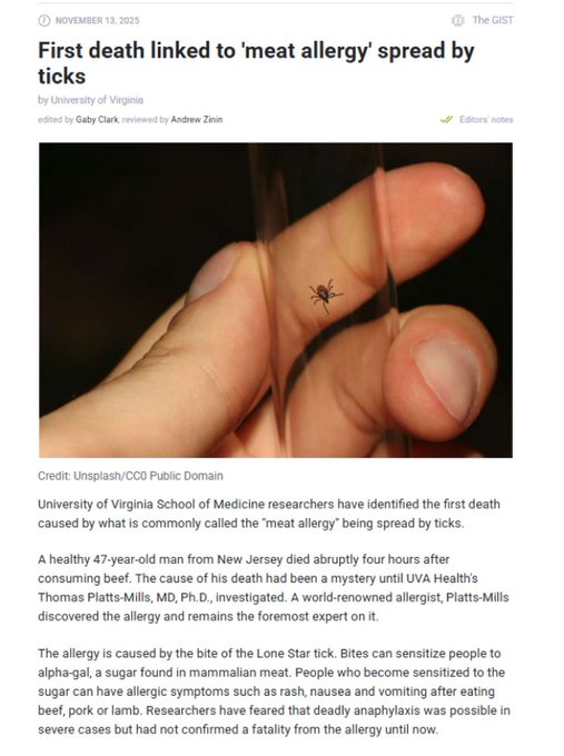 Illustrative photo for: First Death from Meat Allergy Lone Star Tick Infection in