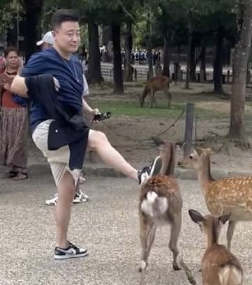 Illustrative photo for: Japan China diplomatic row Escalates Over Tourism Comments