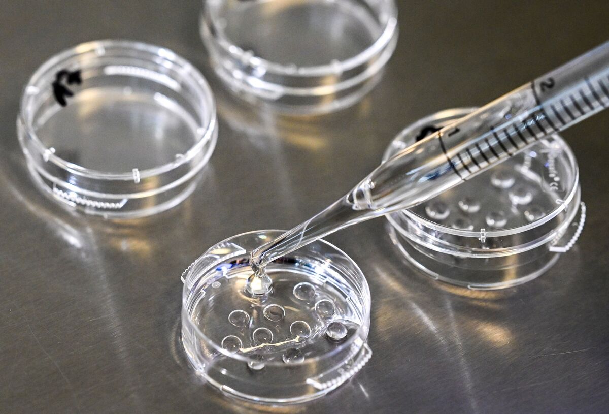 Illustrative photo for: Monash IVF takeover bid triggers biggest share surge since