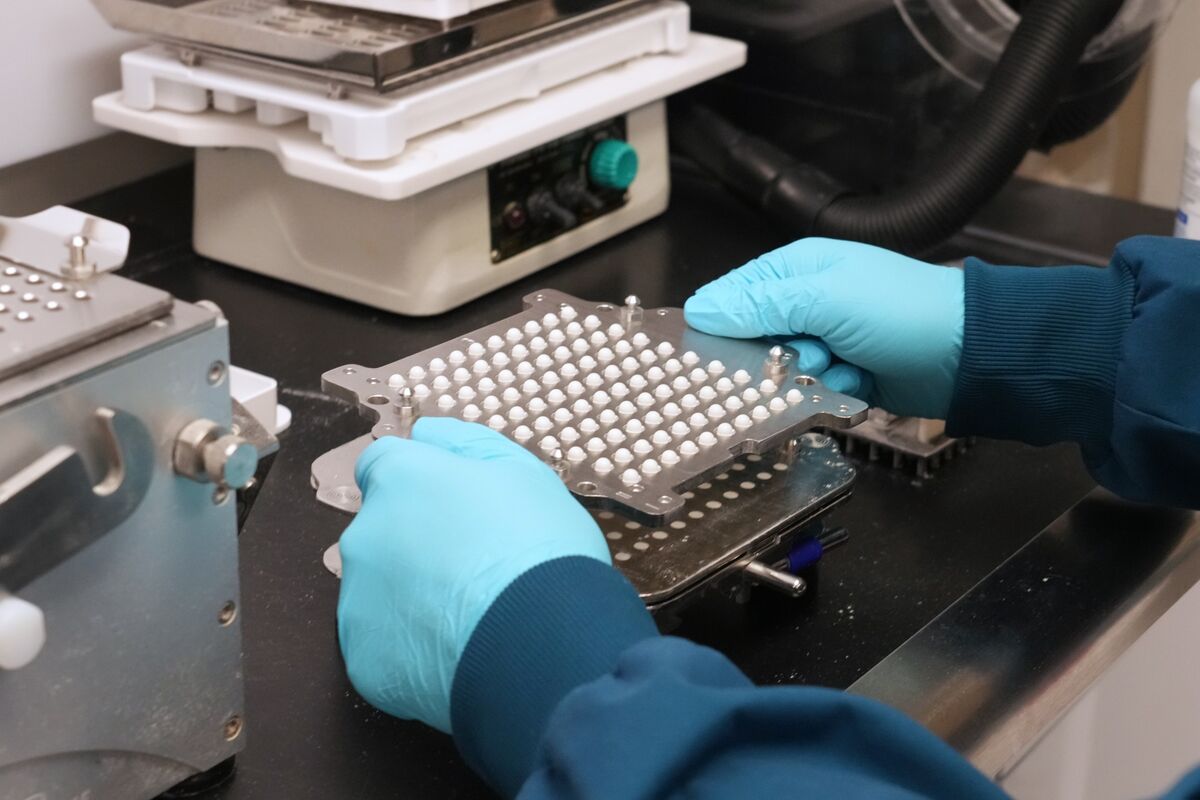 Illustrative photo for: US Urged to Seek Alternative Raw Ingredient Sources for
