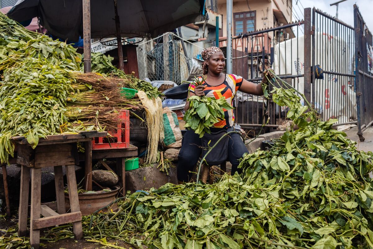 Illustrative photo for: UAE Sub-Saharan Africa Trade Rises as Key Economic Partner
