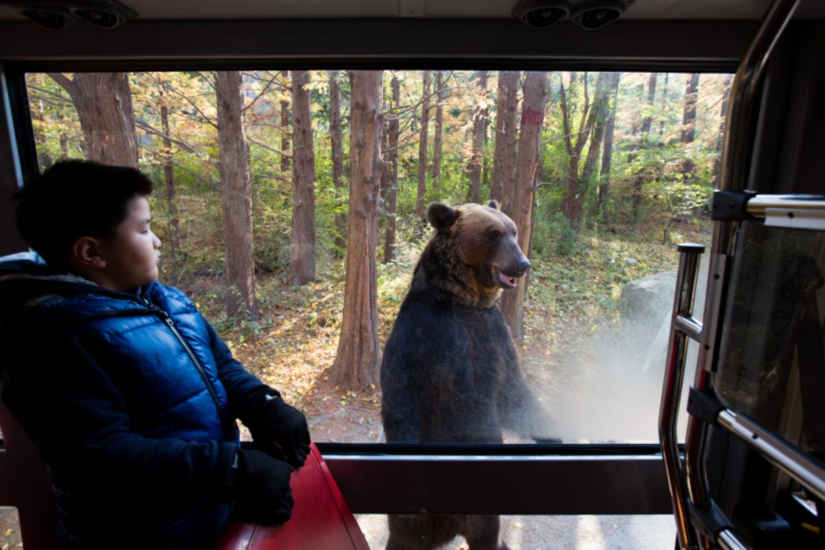 Illustrative photo for: Cross asset rally: Stocks, Bonds, Commodities, and Bitcoin