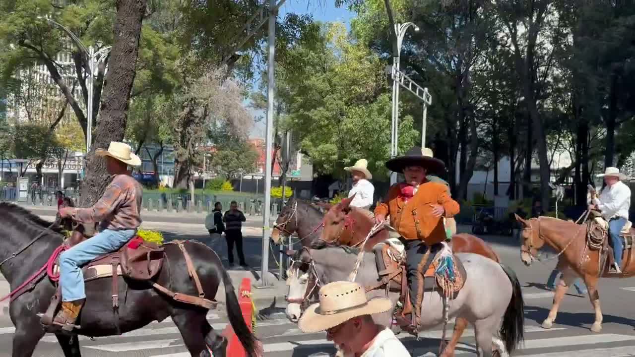 Illustrative photo for: Charros anti cartel protest Erupts Nationwide in Mexico City