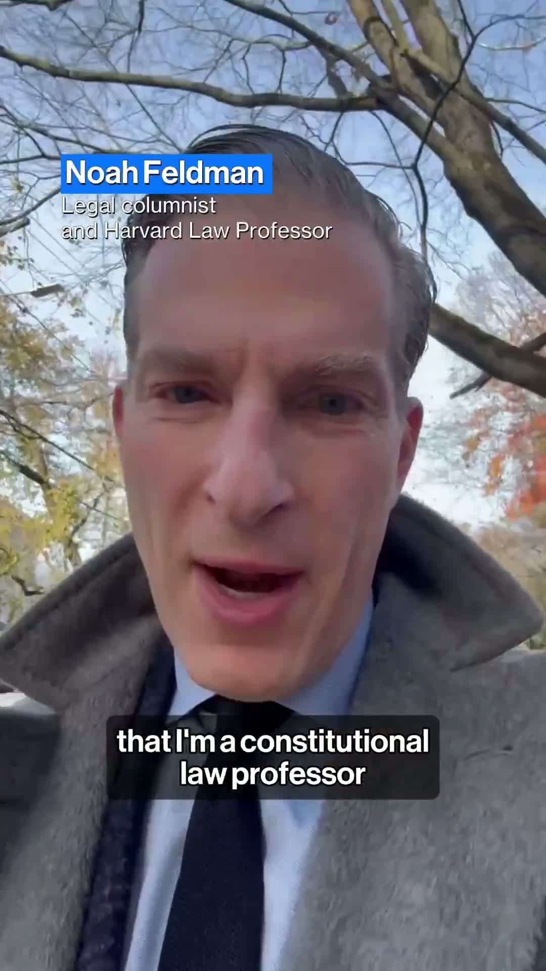 Illustrative photo for: Government branches ICE: Understanding Their Roles