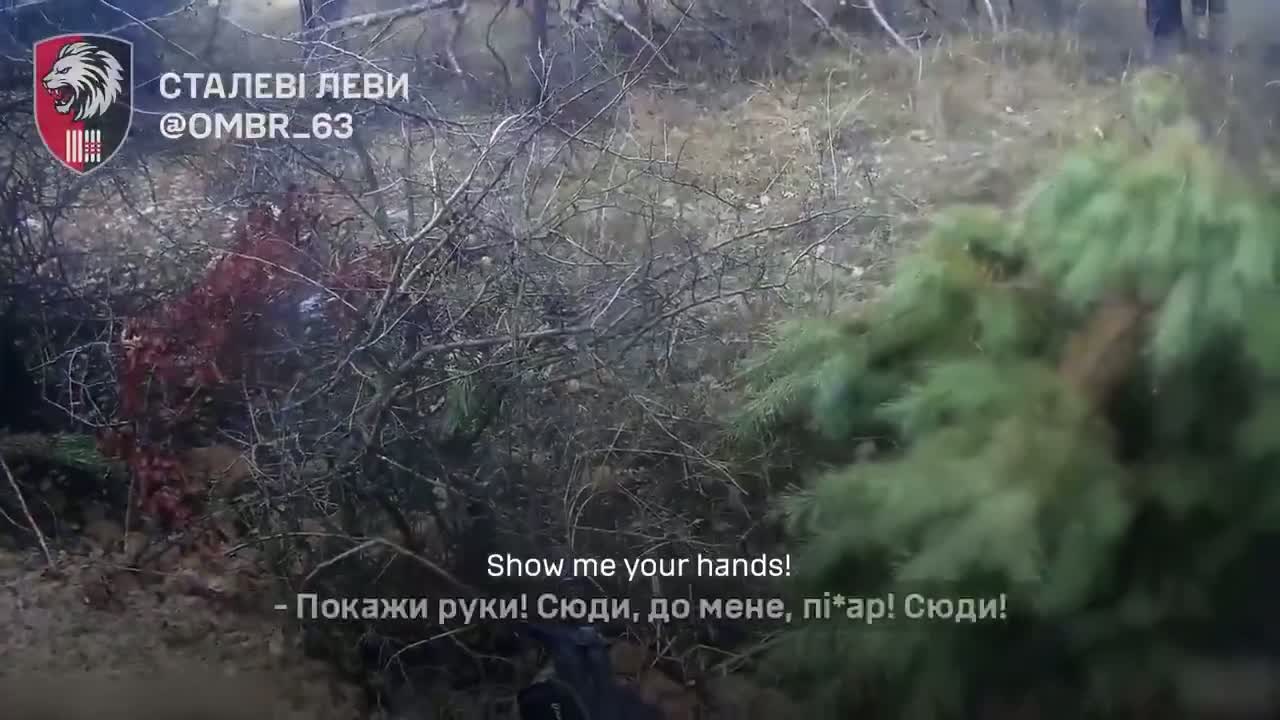 Illustrative photo for: American Volunteer Captures Soldiers in Serebryansky Forest