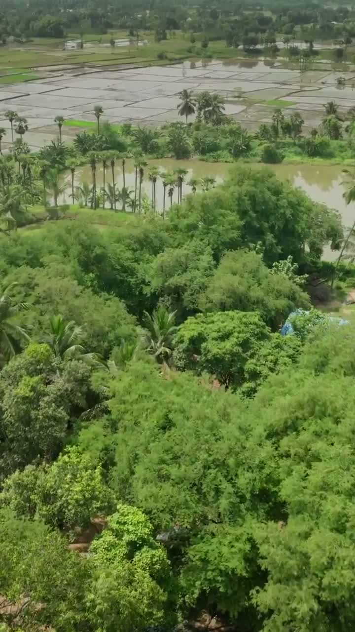 Illustrative photo for: Nikolaj Coster-Waldau Supports King Cobra Conservation in