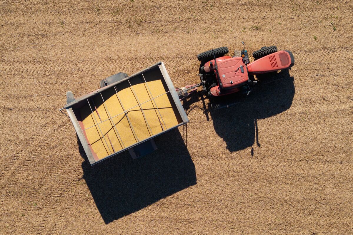 Illustrative photo for: Trump farm aid package: $12B support for struggling farmers