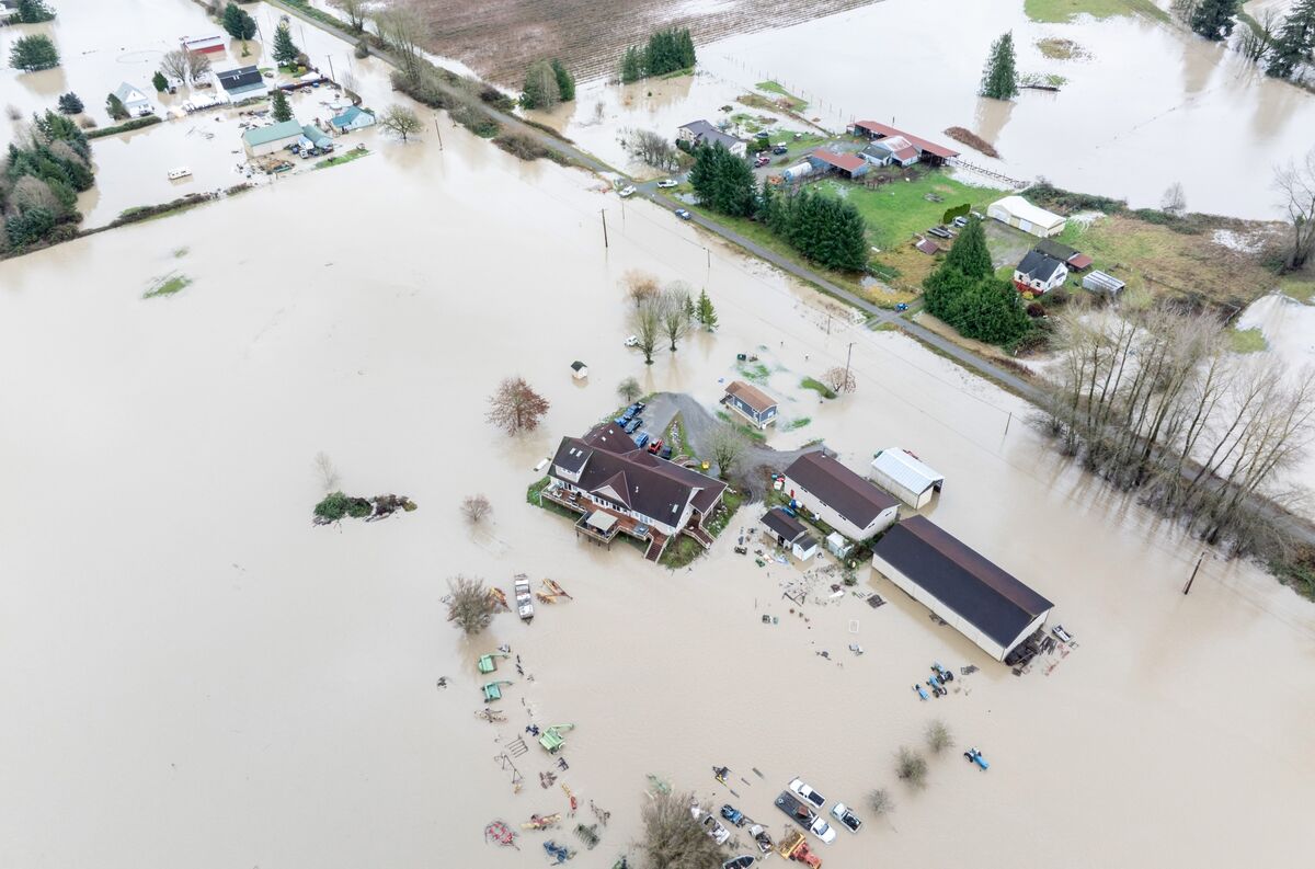 Illustrative photo for: Skagit River Flooding: Record Rainfall Triggers Evacuations