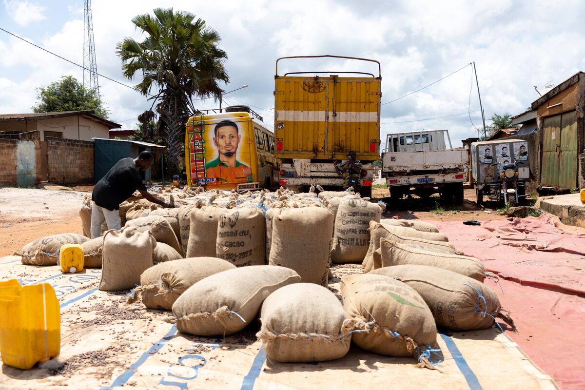 Illustrative photo for: Ivory Coast dollar bonds rise after Fitch ratings upgrade