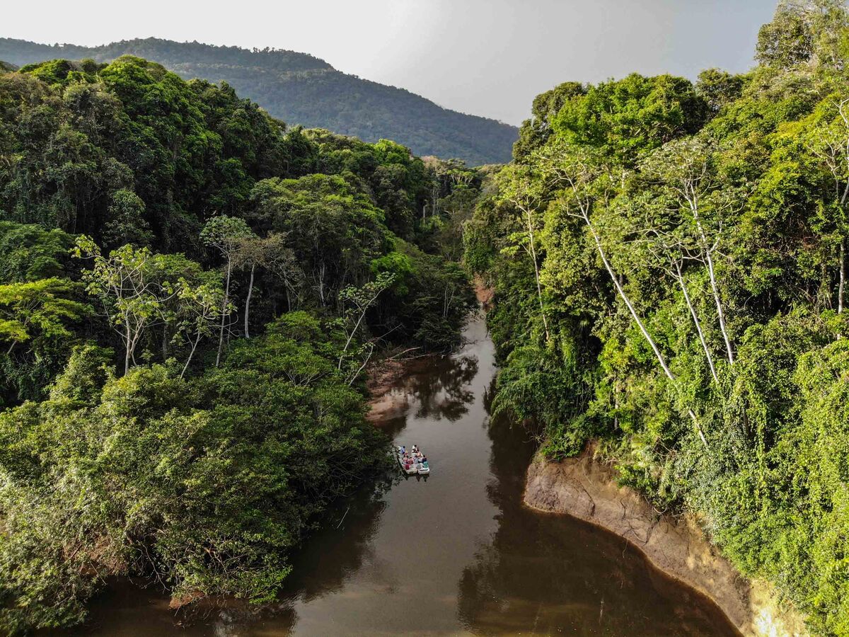 Illustrative photo for: Guyana ecotourism development Boosts Global Visitor Appeal