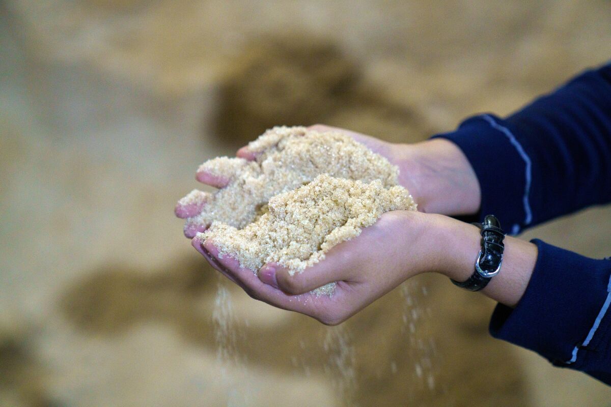 Illustrative photo for: Raw Sugar Futures Decline as India Rethinks Export Plans