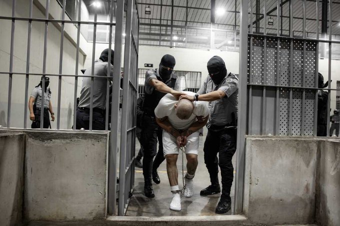 Illustrative photo for: MS-13 gang sentences Nearly 250 Members to Thousands of