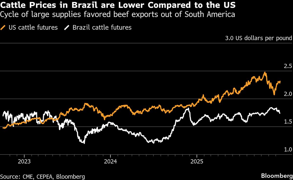 Illustrative photo for: Brasil enfrenta redução na oferta de carne bovina, podendo