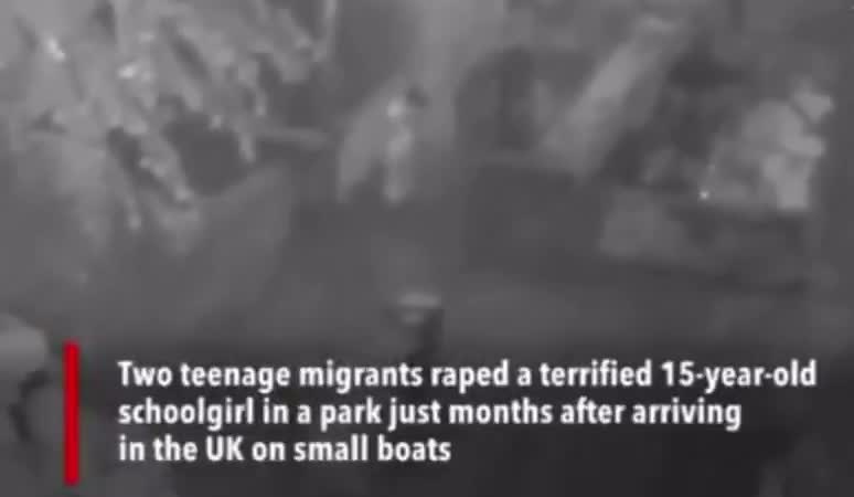 Illustrative photo for: Afghan asylum seekers assault girl caught on video in park