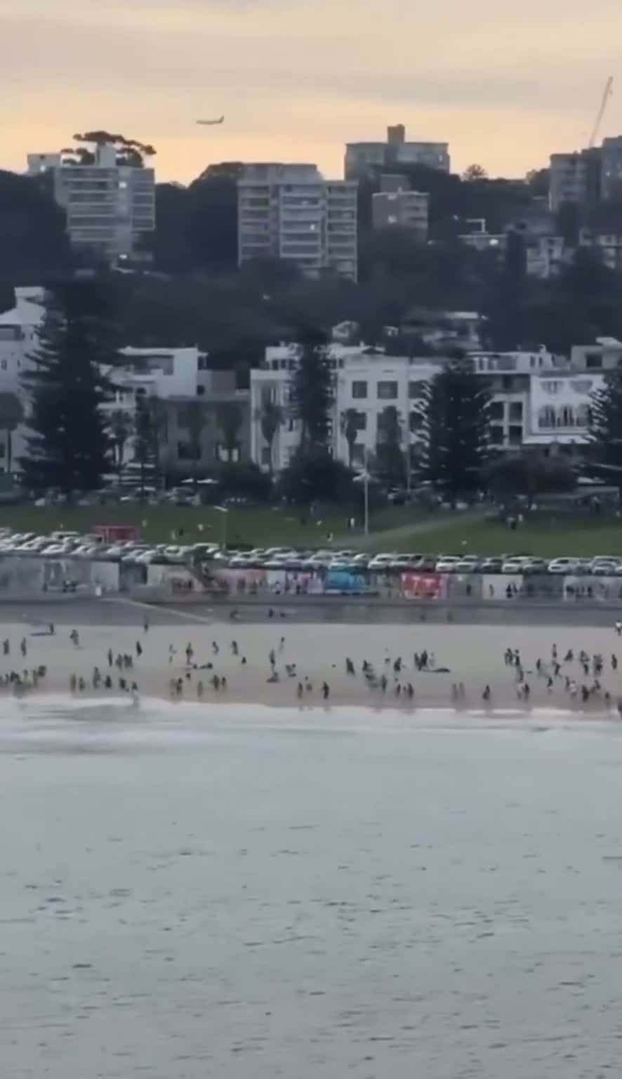 Illustrative photo for: Sydney terrorist attack: Gunfire at Hanukkah event kills 10