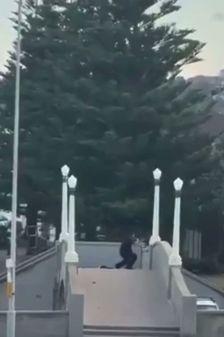 Illustrative photo for: Video Captures Police Confrontation with Second Terrorist