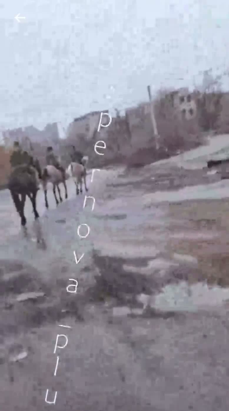Illustrative photo for: Russian cavalry troop movement spotted near Pokrovsk in new