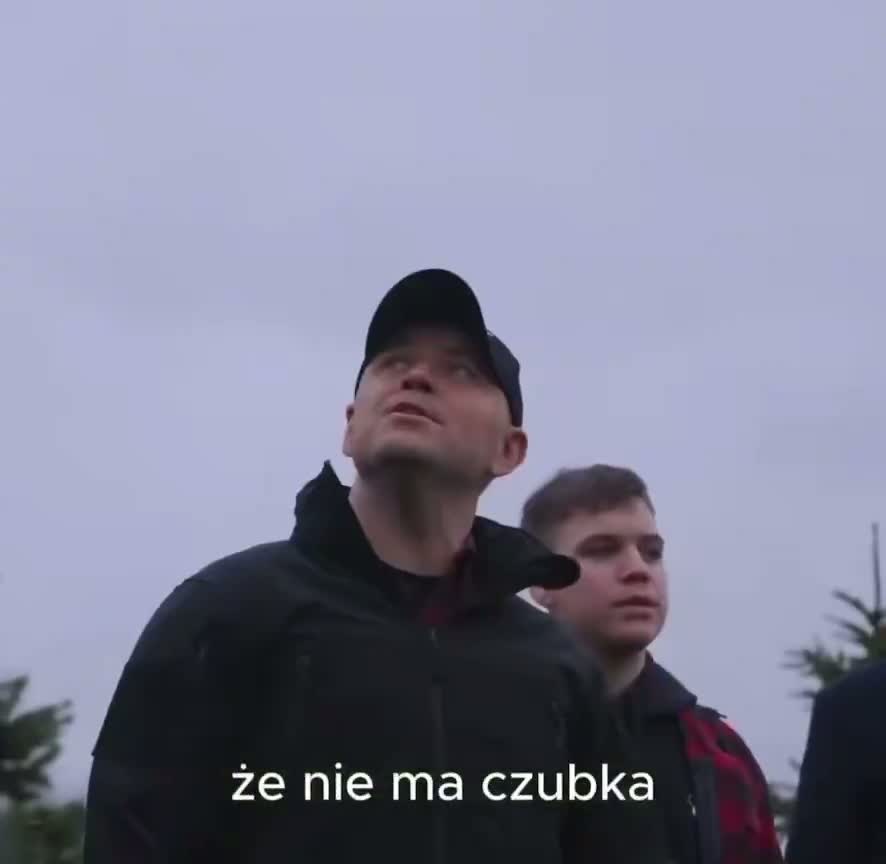 Illustrative photo for: Polish president Christmas tree: Nawrocki's festive choice