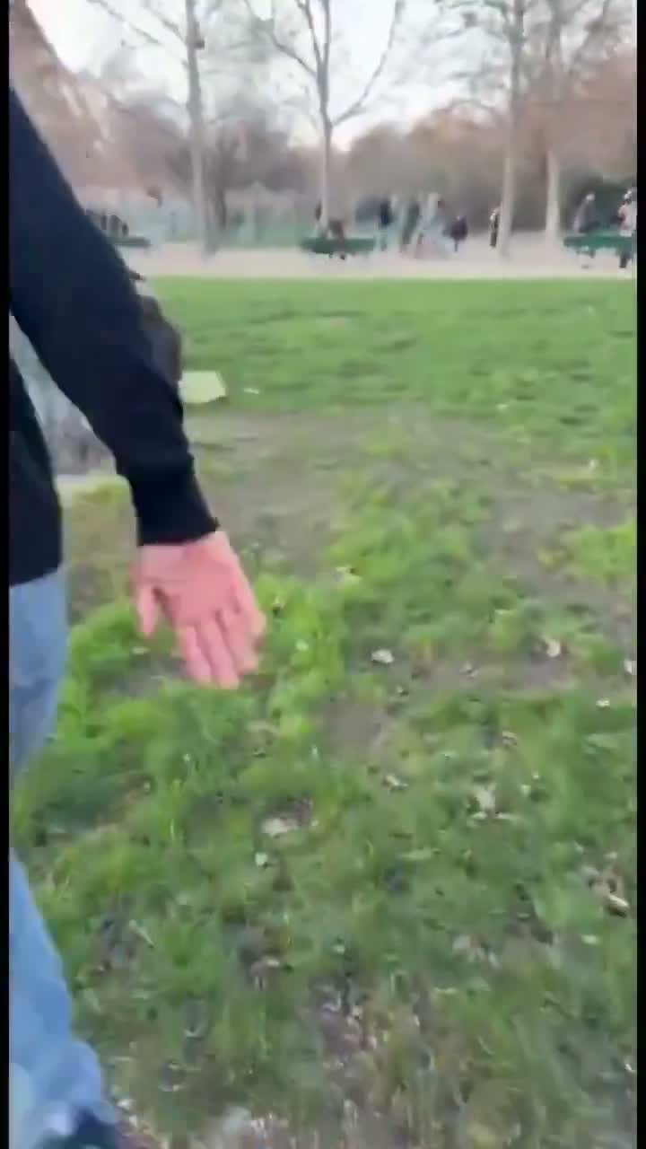 Illustrative photo for: Migrant harassment Paris: Young men accused of harassing