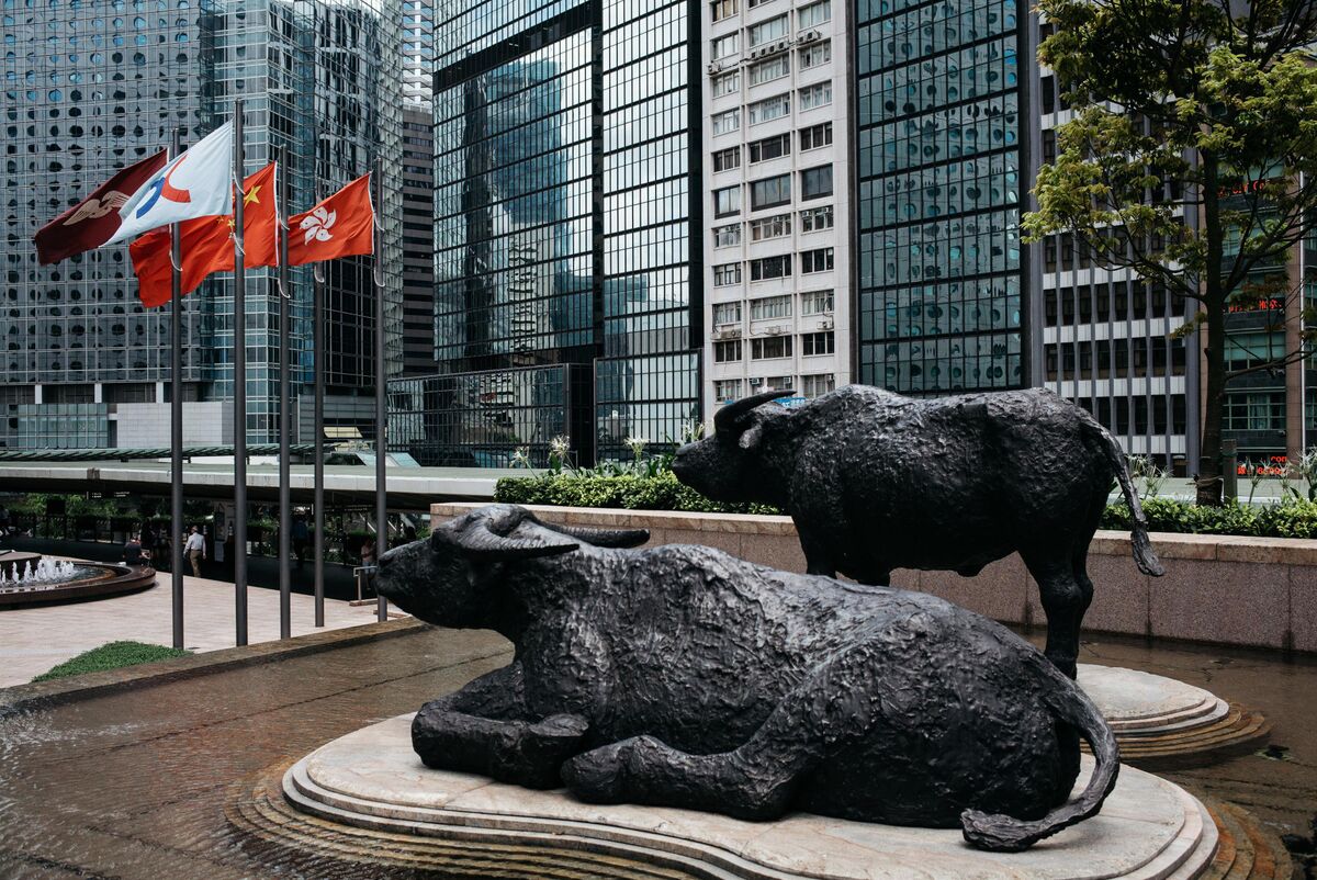 Illustrative photo for: Hong Kong stock trading revenue Boosts Budget Surplus, Says