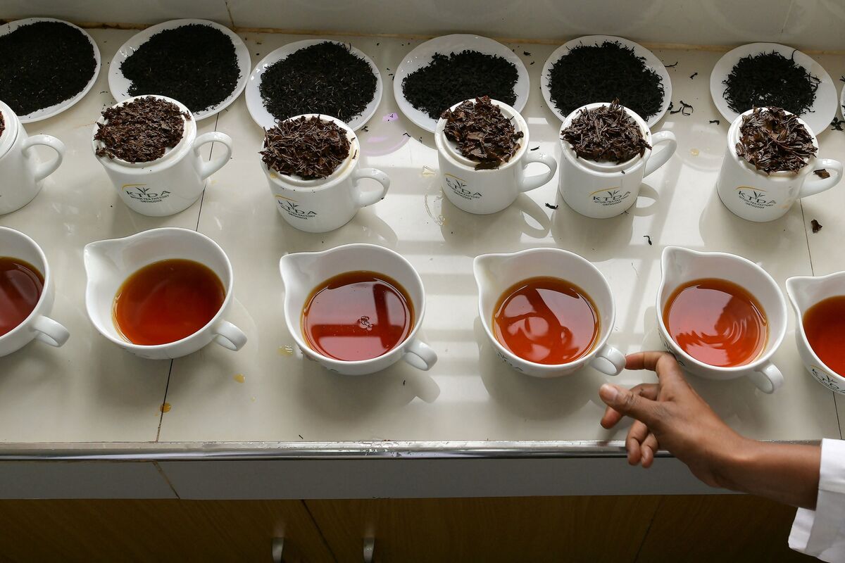 Illustrative photo for: Kenya black tea export Boosts Production of High-Value
