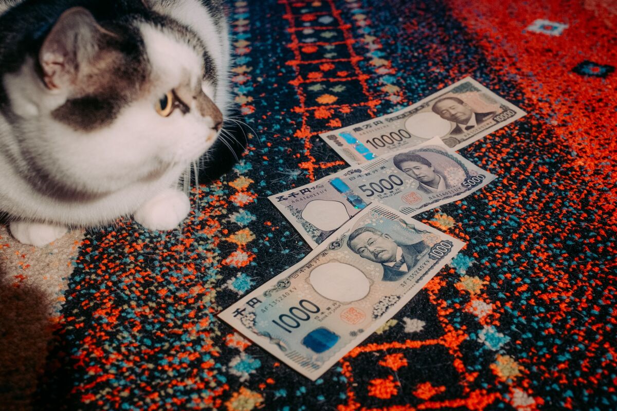 Illustrative photo for: Bank of Japan Policy Decision Amid Yen Depreciation