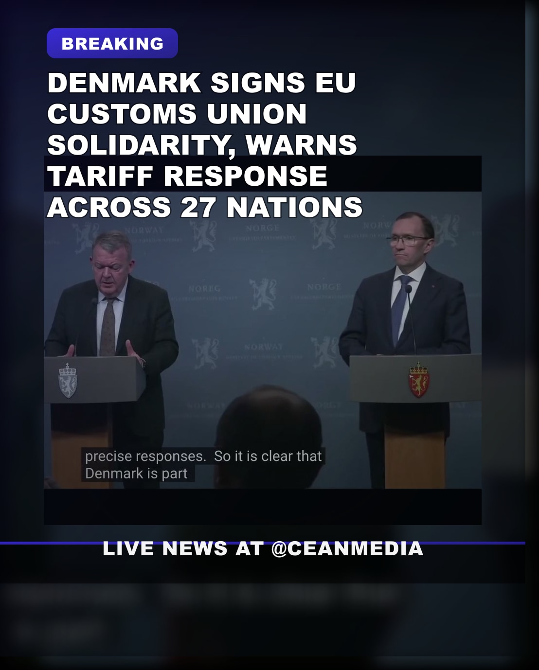 Illustrative photo for: Danish Foreign Minister Rasmussen on Denmark EU Customs