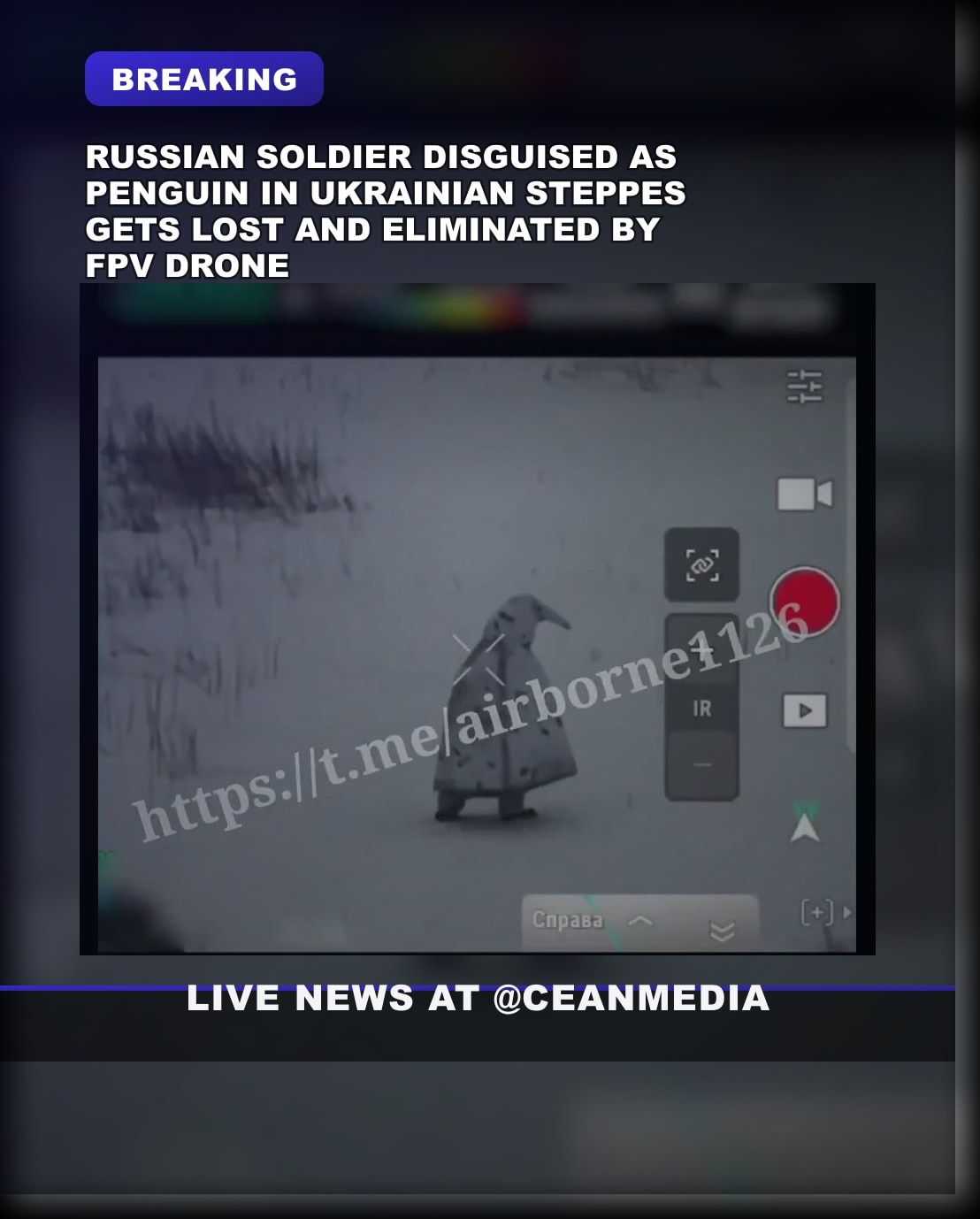 Illustrative photo for: Russian soldier penguin disguise goes wrong in Ukraine